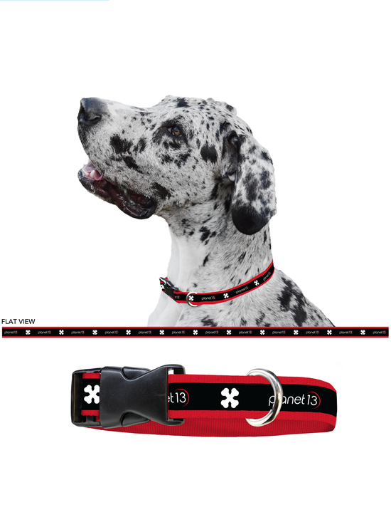 Dog Collar