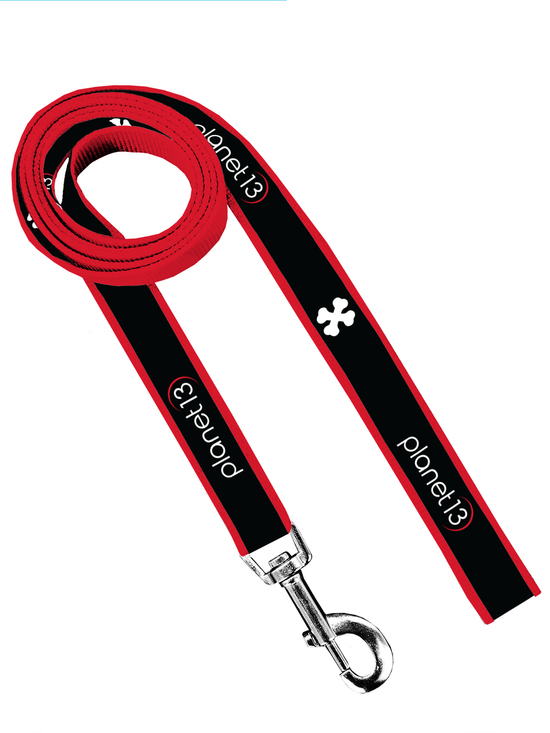 Dog Leash