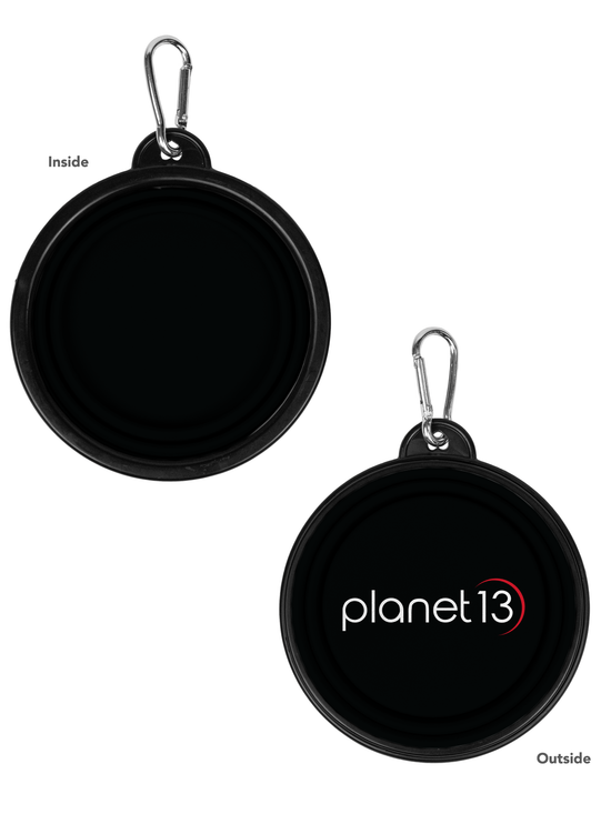 Collapsible Pet Bowl