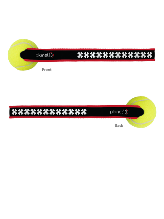 Tennis Ball Sling